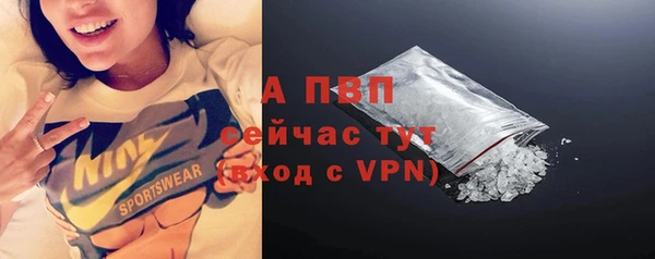 шишки Семикаракорск
