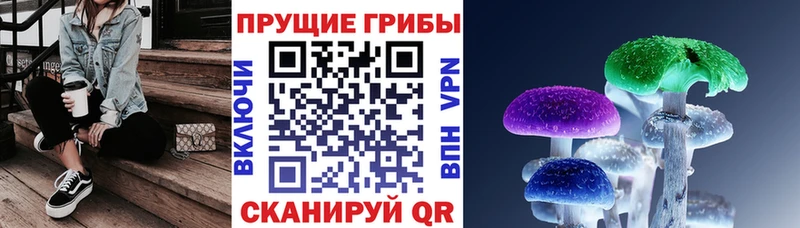 цена наркотик  Вытегра  Галлюциногенные грибы Psilocybine cubensis 